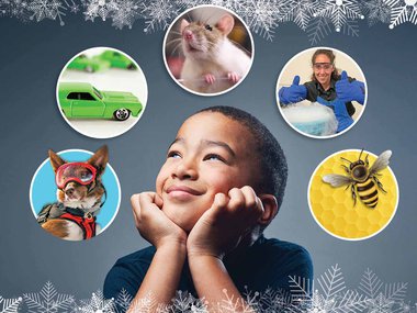 Photo of a little boy with his hands resting on his chin looking up. Above him are five circles with images in each to include a dog, green hot wheels, rat, scientist demonstrating chemical reactions and bees.
